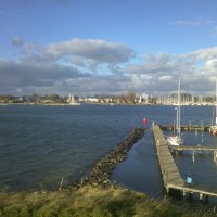 De omgeving